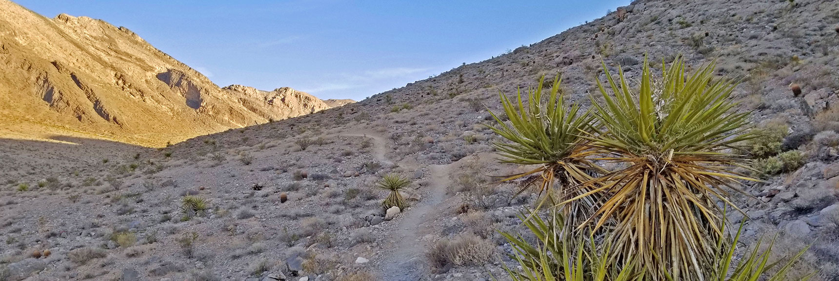 Toove Trail on the Western Side of Cheyenne Mt, Heading North | Cheyenne Mountain | Las Vegas, Nevada