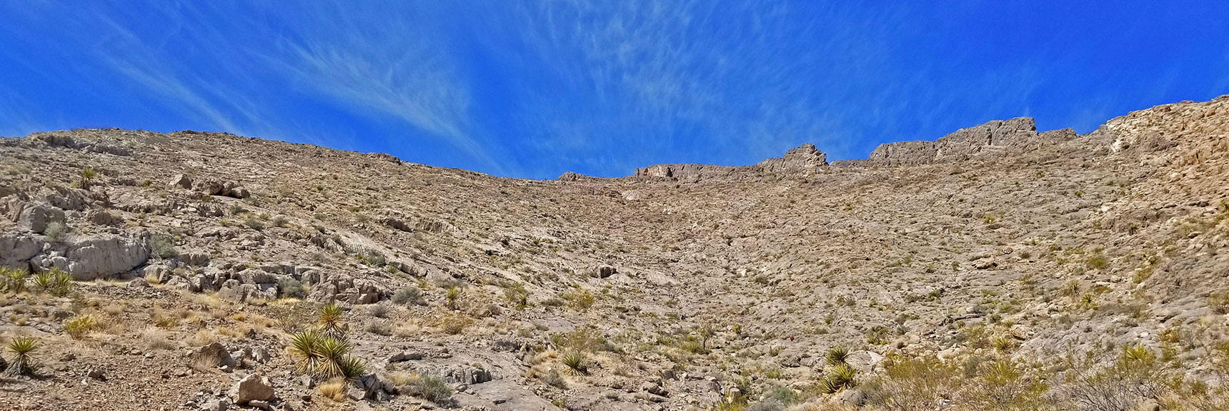 View To Highest Area Reached in 1st Exploration of Cheyenne Mt Summit Ridge. Gradual Slope Above Trigono Pk for Next Trip | Cheyenne Mountain | Las Vegas, Nevada