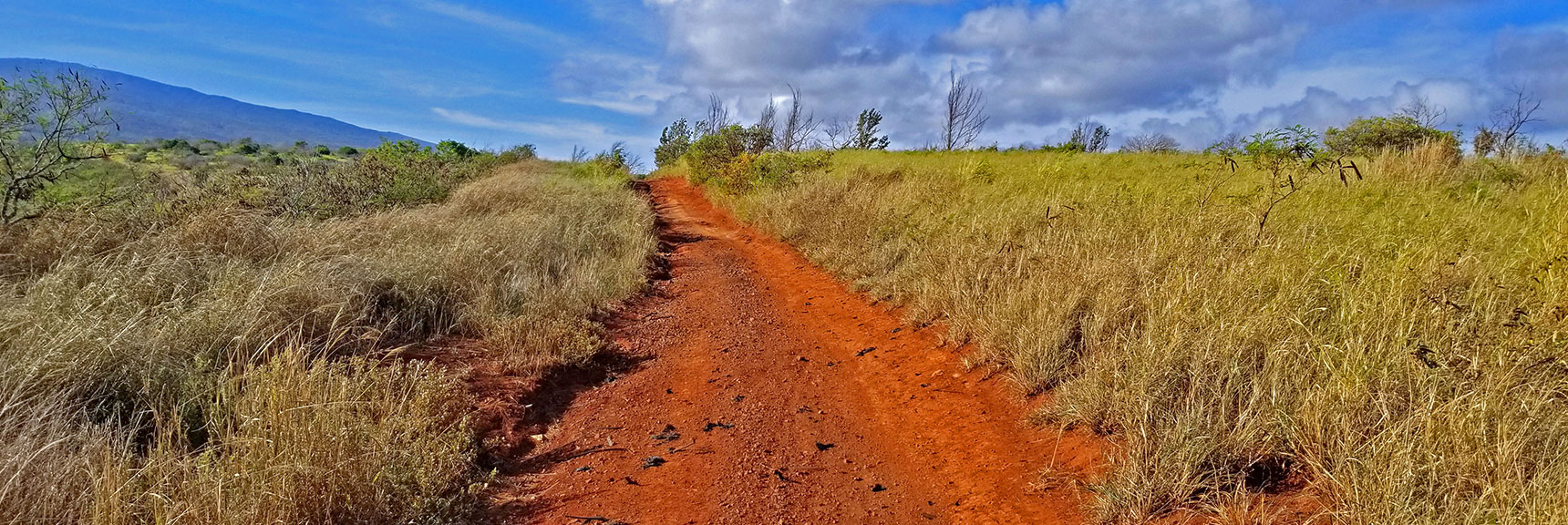 Ascending First Hill on East Side of Basic 3-Mile Loop Run | Hidden Hills and Jungle Above Kahana in West Maui, Hawaii