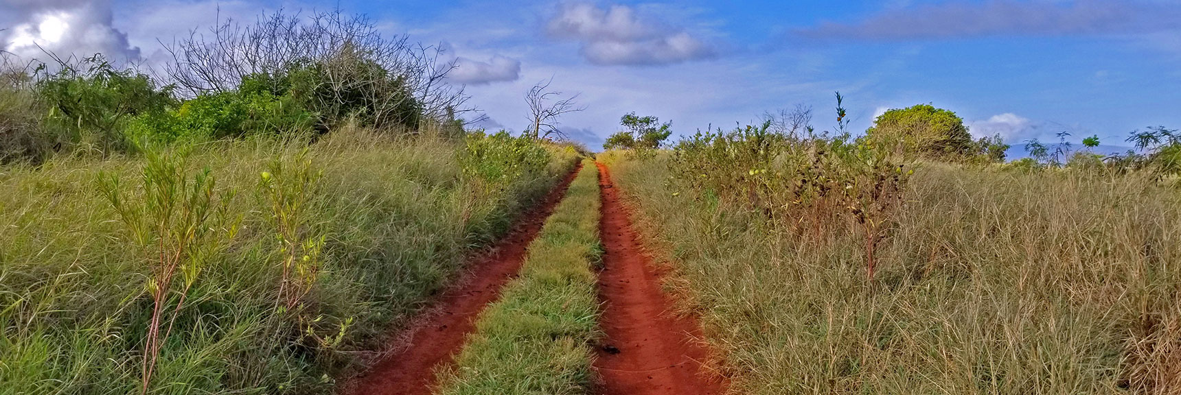 Turn Right, Skirt Upper Side of Kapalua Maui Airport | Hidden Hills and Jungle Above Kahana in West Maui, Hawaii