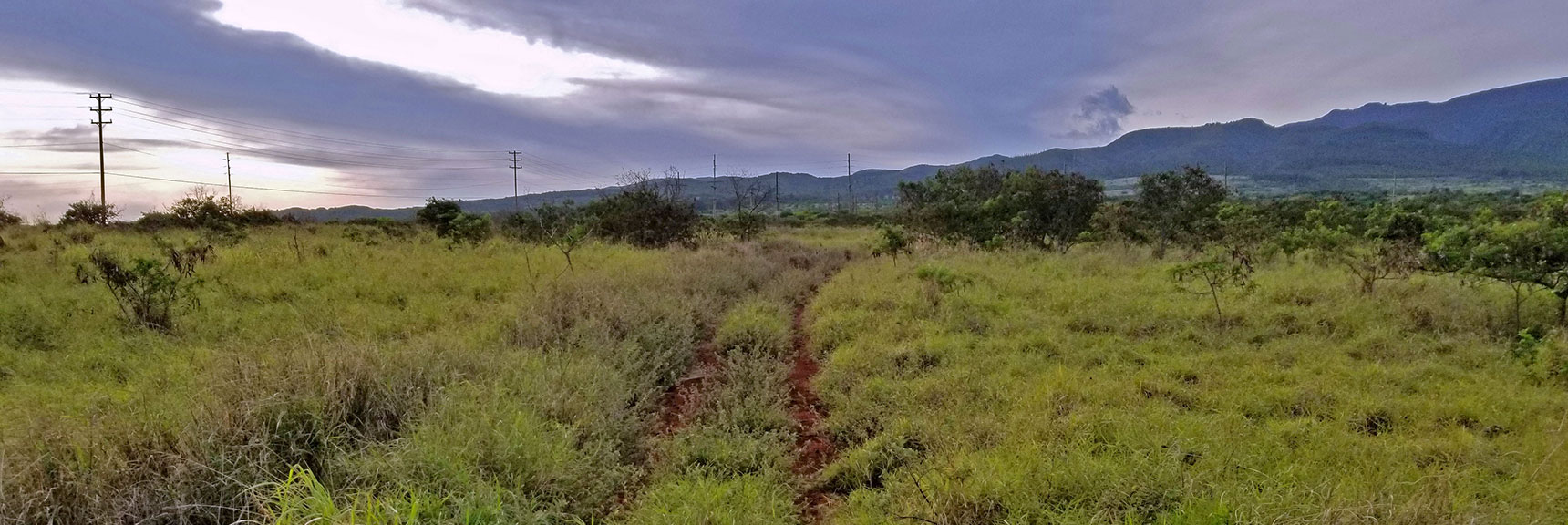 Some of the Roads in the System Have Not Been Used Recently | Hidden Hills and Jungle Above Kahana in West Maui, Hawaii