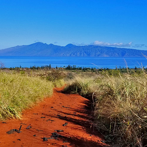Hidden Hills and Jungle Above Kahana in West Maui, Hawaii