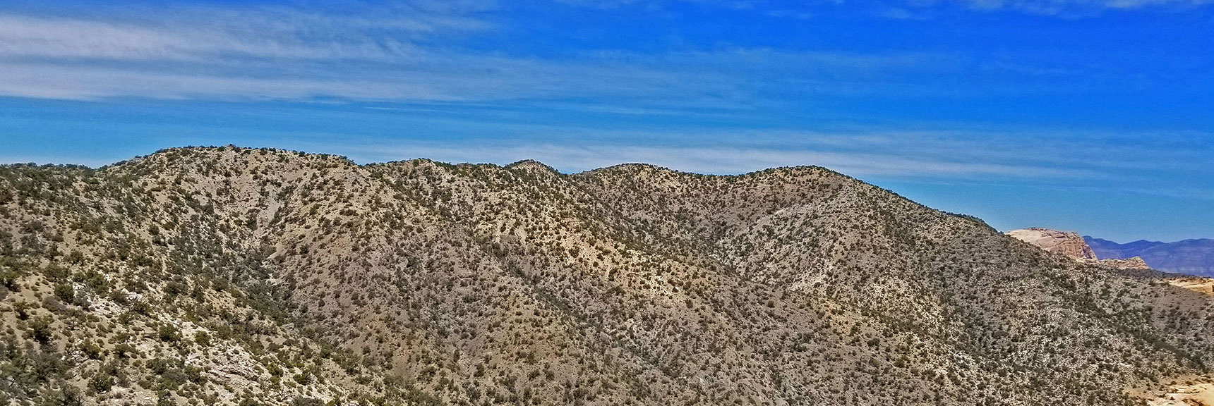 High Ridgeline Heading Toward Mt. Wilson (right) to the North | Windy Peak | Rainbow Mountain Wilderness, Nevada