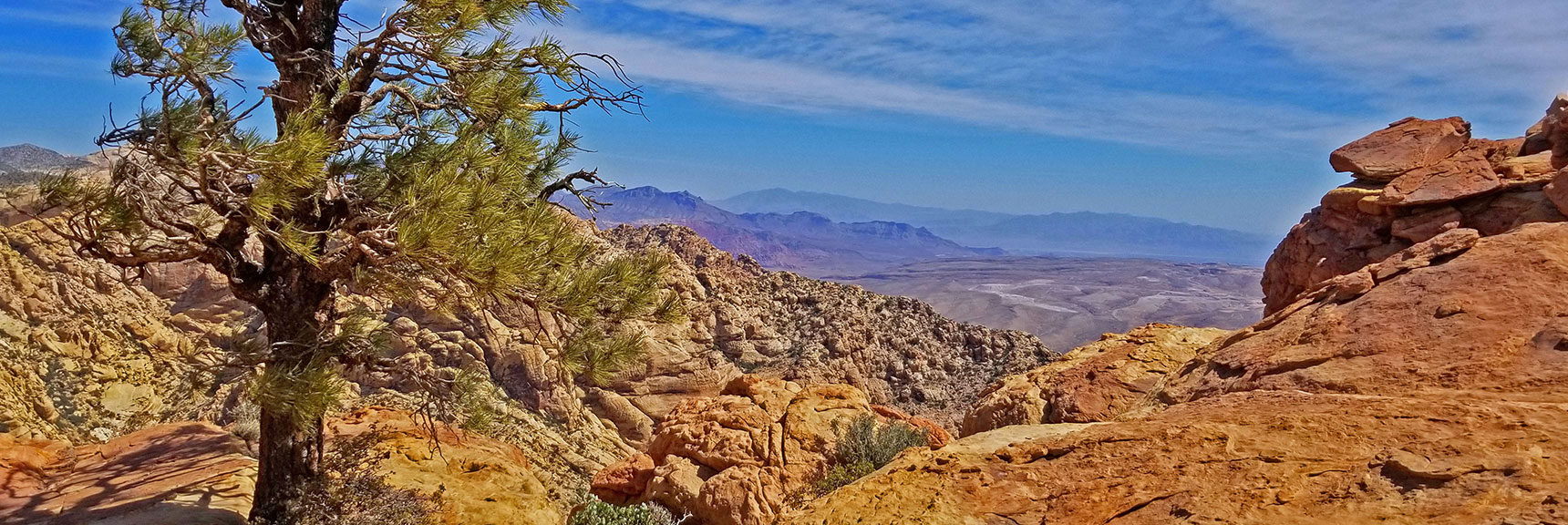View at Eastern Cliff Edge Near Summit | Windy Peak | Rainbow Mountain Wilderness, Nevada
