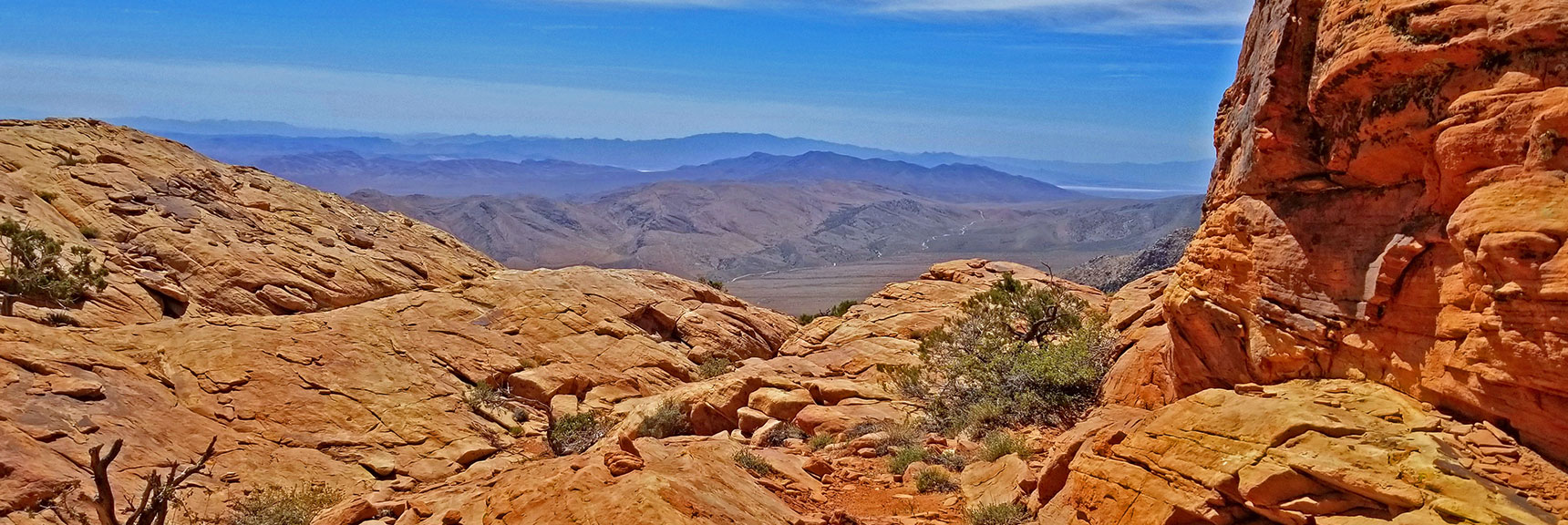 Quiet Beautiful Resting Spot Just South of Roaring Winds on Summit | Windy Peak | Rainbow Mountain Wilderness, Nevada