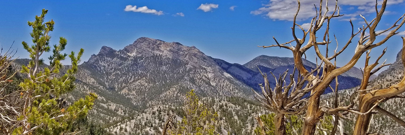 Arrival on High Ridge, McFarland Peak (left); Bonanza Peak (right) | Black Rock Sister | Mt Charleston Wilderness | Lee Canyon | Spring Mountains, Nevada
