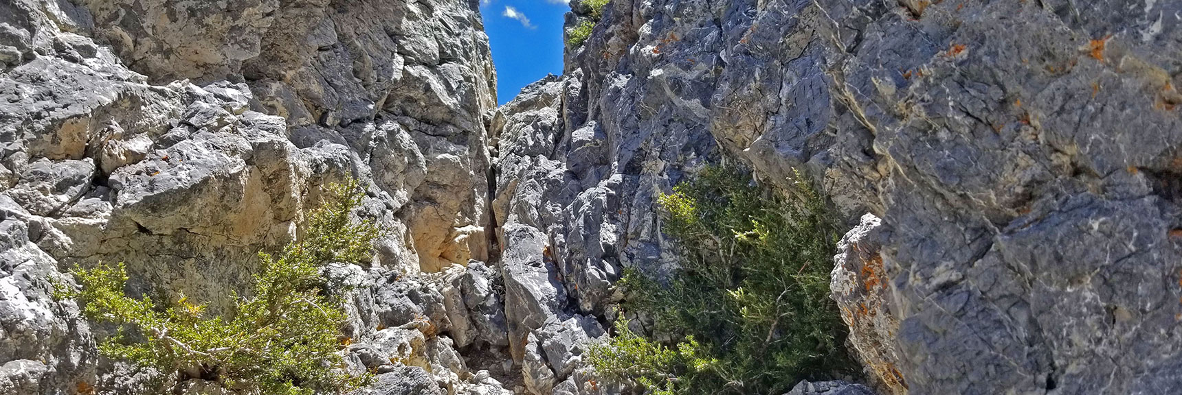 2nd Class 3 Summit Approach on NW Side of Black Rock Sister | Black Rock Sister | Mt Charleston Wilderness | Lee Canyon | Spring Mountains, Nevada