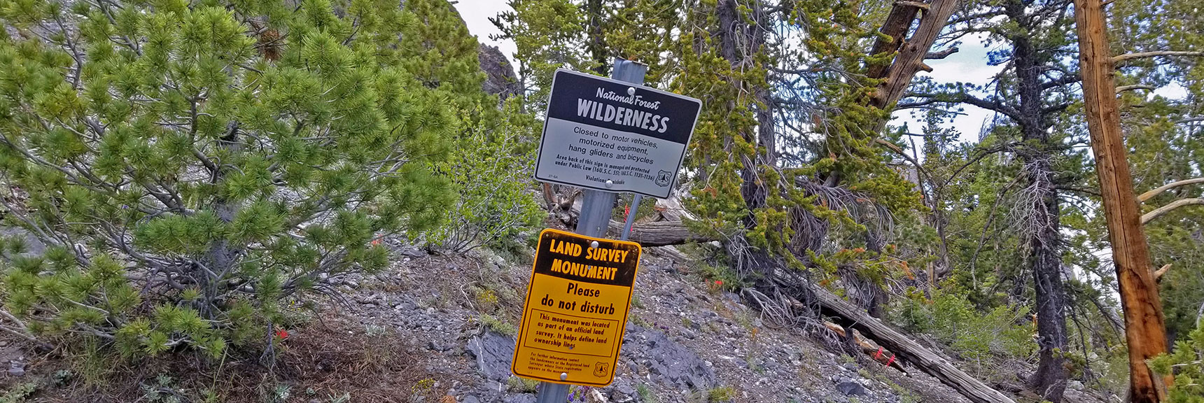 Multiple Warning Sign Posts. | Black Rock Sister | Mt Charleston Wilderness | Lee Canyon | Spring Mountains, Nevada