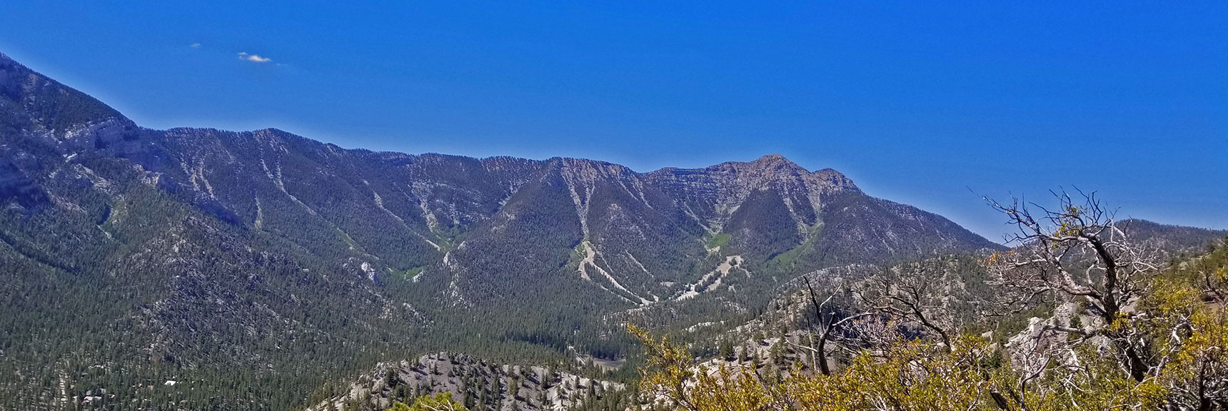 Foxtail Canyon Approach is Central, to Left of Ski Area | Lee Canyon to Kyle Canyon | Potential Routes | Mt Charleston Wilderness | Spring Mountains, Nevada
