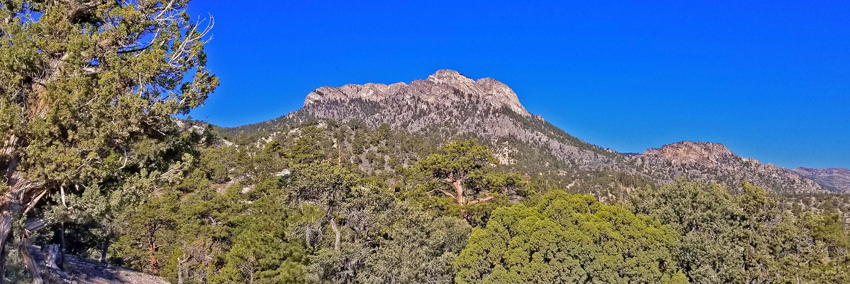 Macks Peak from High Point on Macks Canyon Rd | Macks Peak | Mt Charleston Wilderness | Spring Mountains, Nevada