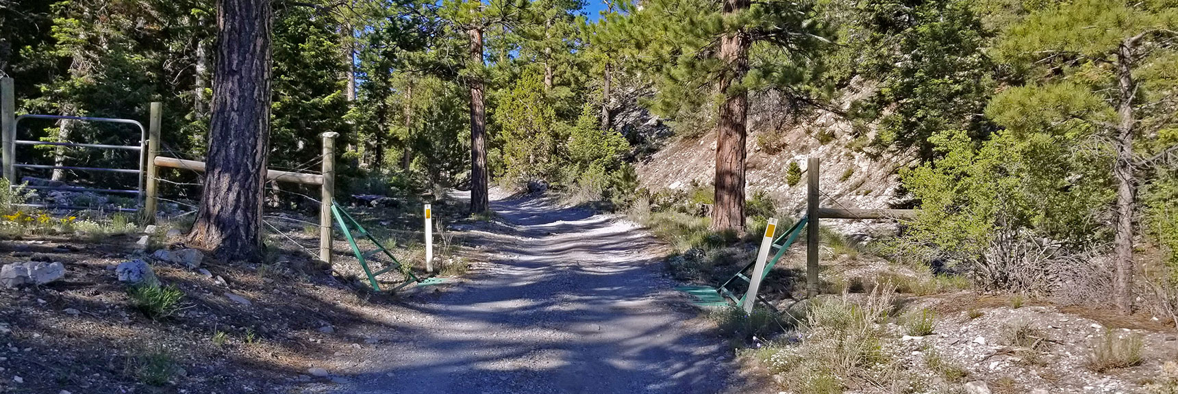4 Miles in: Macks Canyon Rd Narrows Just Before Upper and Lower Group Camp Areas | Macks Peak | Mt Charleston Wilderness | Spring Mountains, Nevada