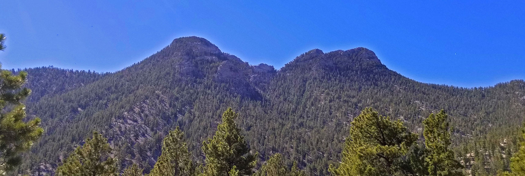 View to Ridge Across Macks Canyon on East Side | Macks Peak | Mt Charleston Wilderness | Spring Mountains, Nevada