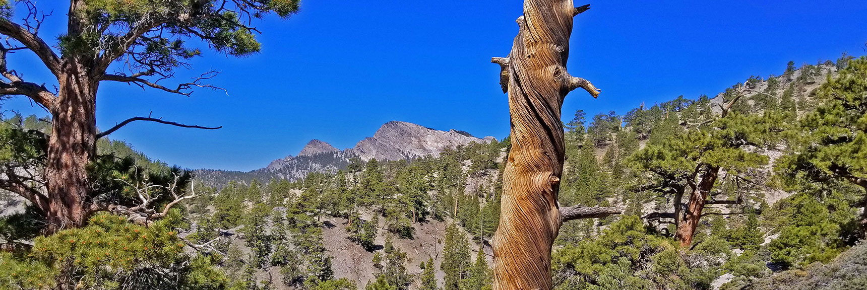 Sisters Come Into View. South is Closest, North is Furthest | Macks Peak | Mt Charleston Wilderness | Spring Mountains, Nevada