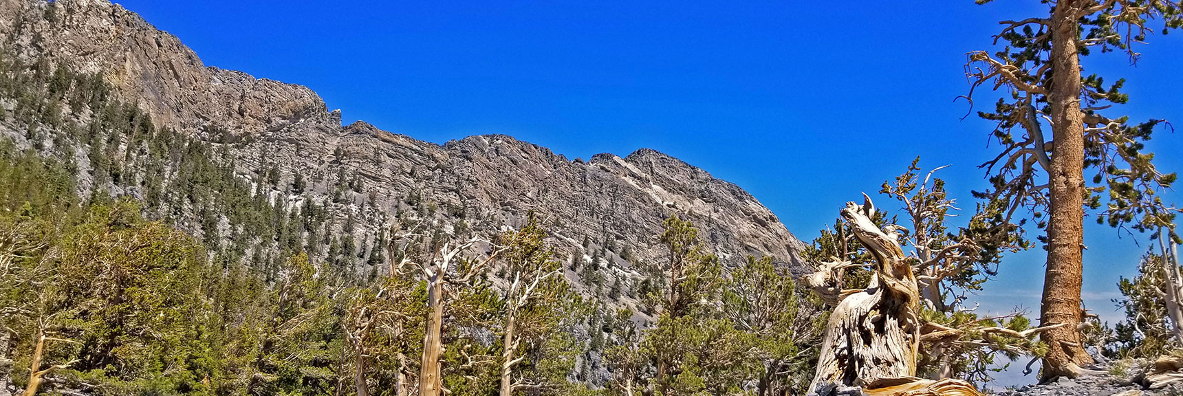 True NW Summit of Macks Peak, 10,036ft Little Over 100ft Higher Than SE Summit. | Macks Peak | Mt Charleston Wilderness | Spring Mountains, Nevada
