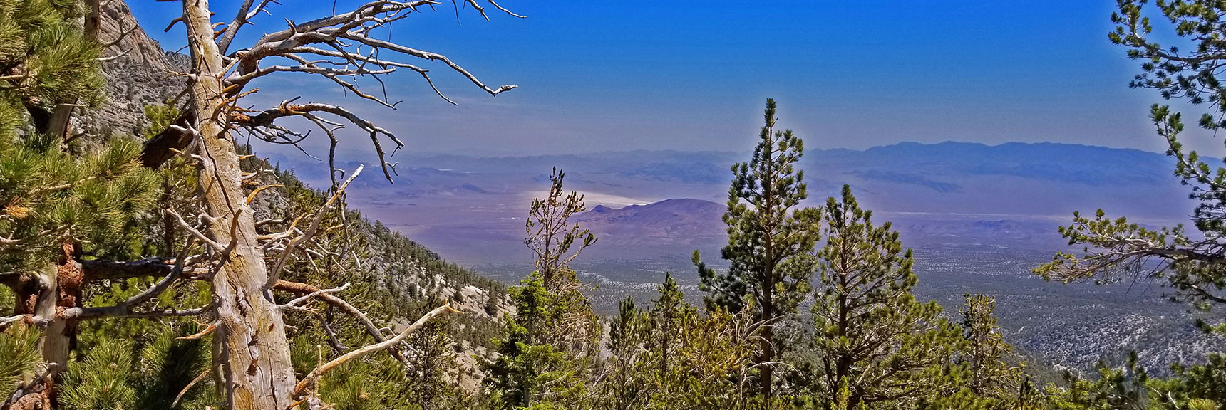 View Up Hwy 95 Corridor from Near Final SW Summit Approach Ledge| Macks Peak | Mt Charleston Wilderness | Spring Mountains, Nevada