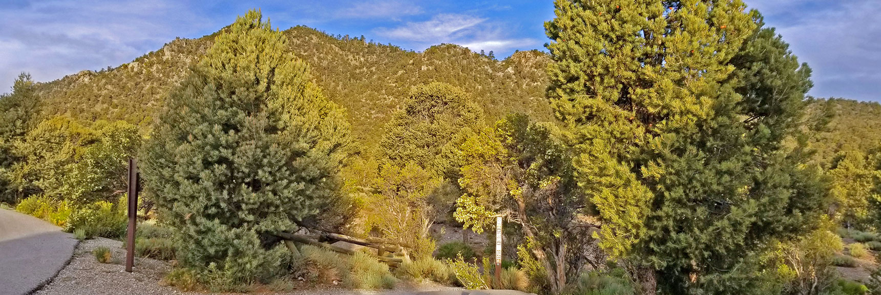 Sawmill Trailhead (yellow) begins here. Background Hills are Reference Point.| Pinyon Pine Loop Trail | Sawmill Trailhead | Lee Canyon | Mt Charleston Wilderness | Spring Mountains, Nevada