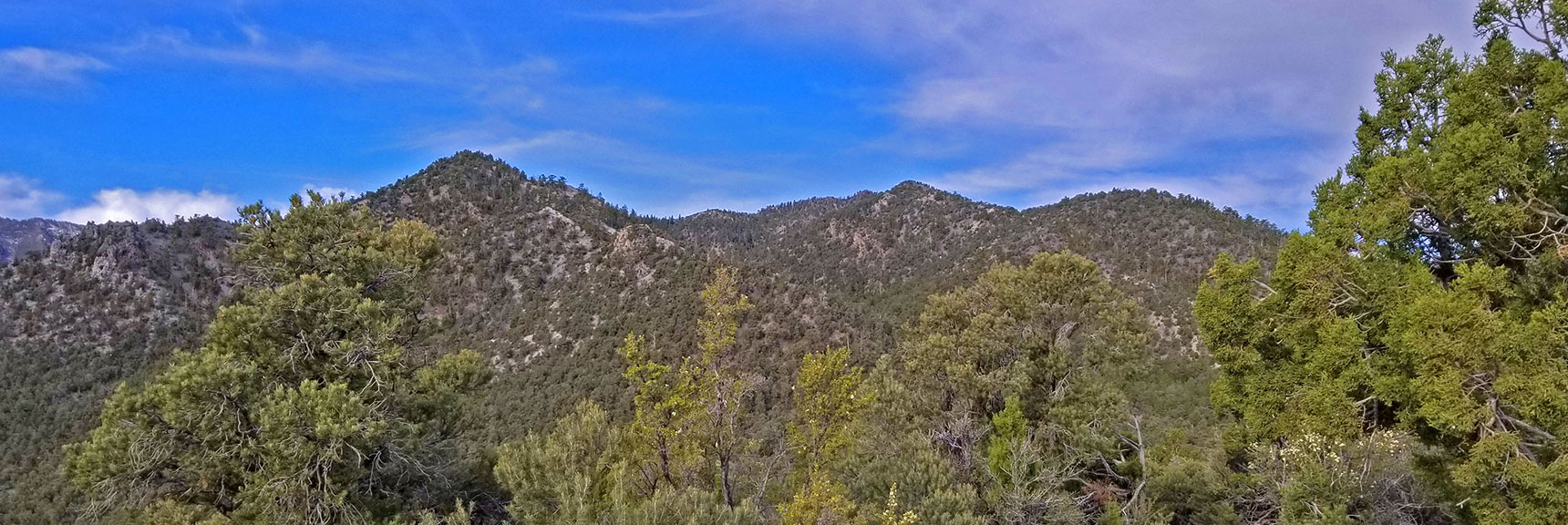 Three Hills at Trailhead Become Reference for Return Trip. First Turnoff Was At Saddle at Base of Right Hill.| Pinyon Pine Loop Trail | Sawmill Trailhead | Lee Canyon | Mt Charleston Wilderness | Spring Mountains, Nevada