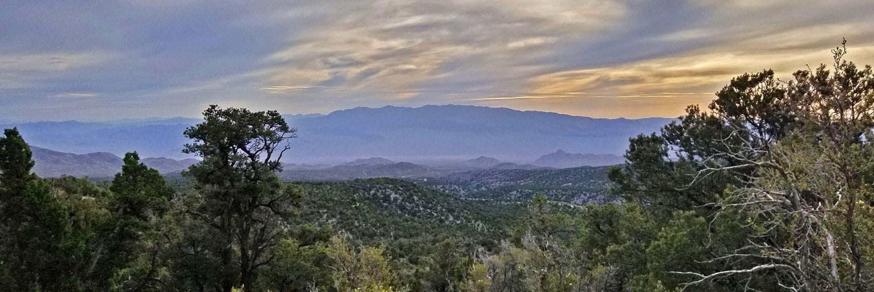 Sheep Range Viewed from High Ridge | Pinyon Pine Loop Trail | Sawmill Trailhead | Lee Canyon | Mt Charleston Wilderness | Spring Mountains, Nevada