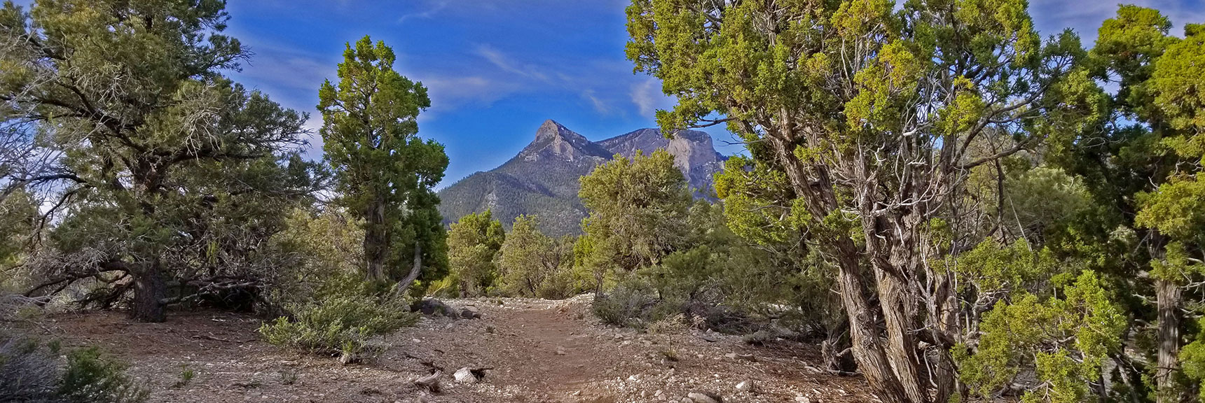 Many Times Trail Circled Around Toward Mummy's Head, But Overall Was Moving Away. | Pinyon Pine Loop Trail | Sawmill Trailhead | Lee Canyon | Mt Charleston Wilderness | Spring Mountains, Nevada