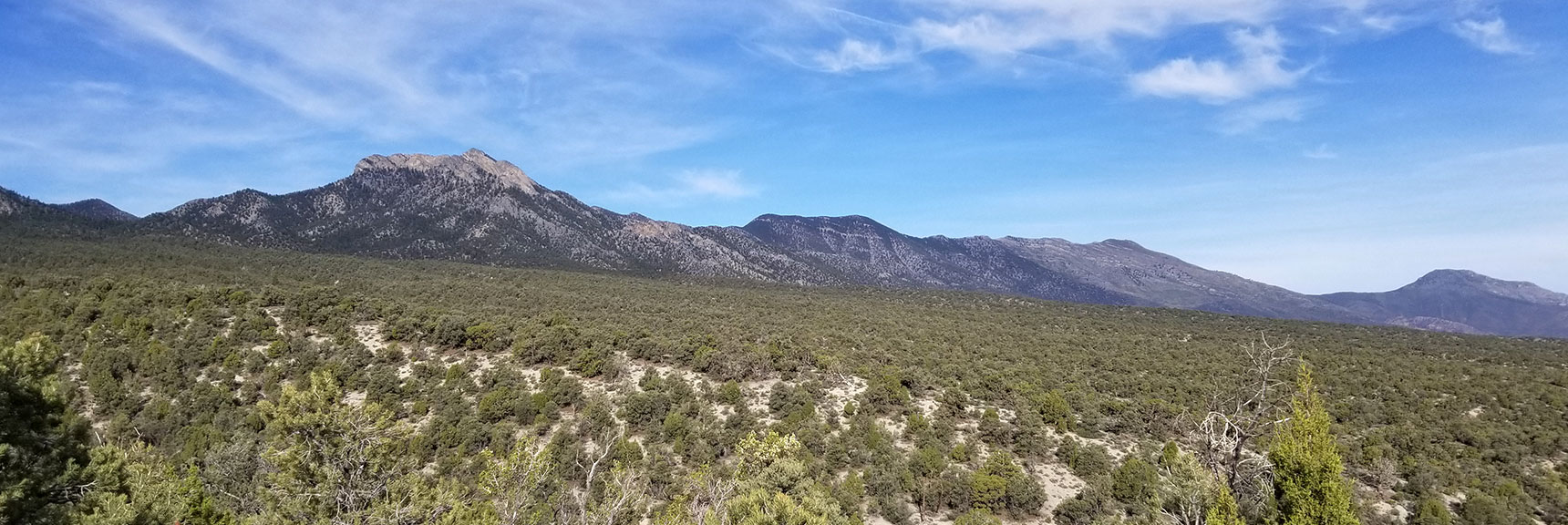 From Left: Macks Peak; McFarland Peak; Gap, Then Bonanza Peak (far right).| Pinyon Pine Loop Trail | Sawmill Trailhead | Lee Canyon | Mt Charleston Wilderness | Spring Mountains, Nevada