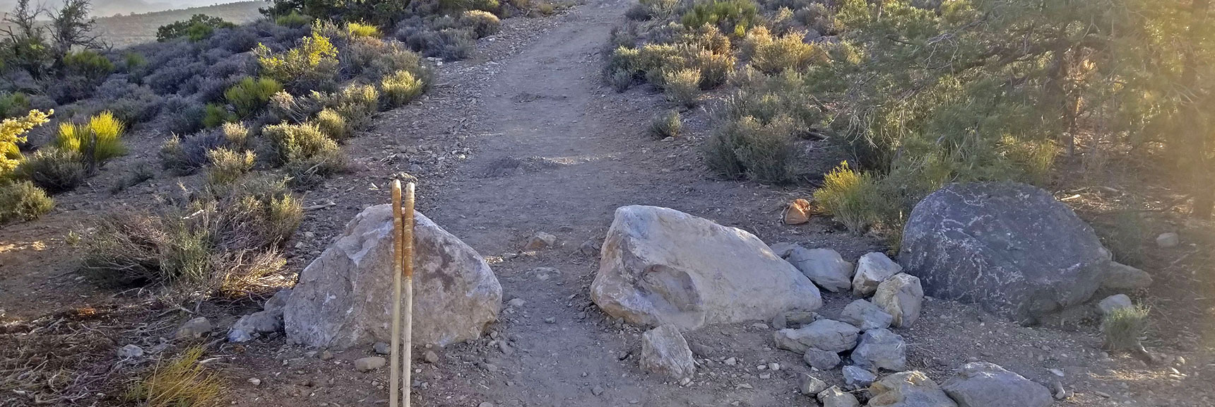 Road Behind Communications Tower Reserved for Foot Traffic Only | Rainbow Mountains Upper Crest Ridge, Nevada