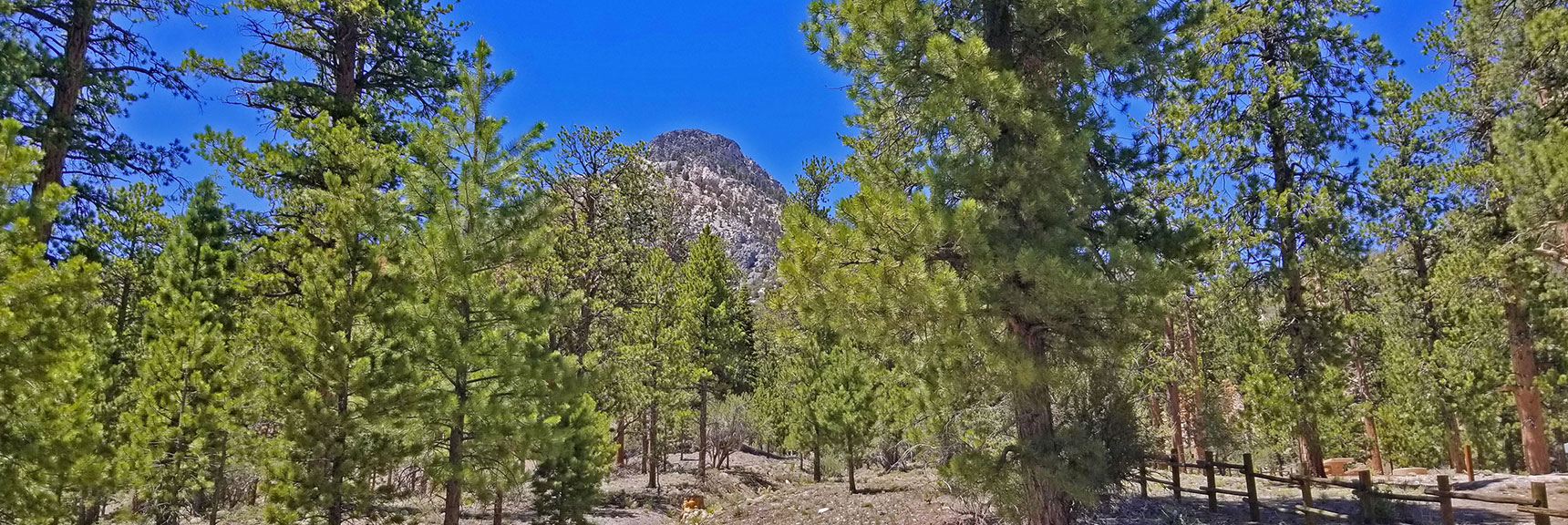 The Sisters South Viewed Through the Trees from the Old Mill Picnic Area Below | The Sisters South | Lee Canyon | Mt Charleston Wilderness | Spring Mountains, Nevada