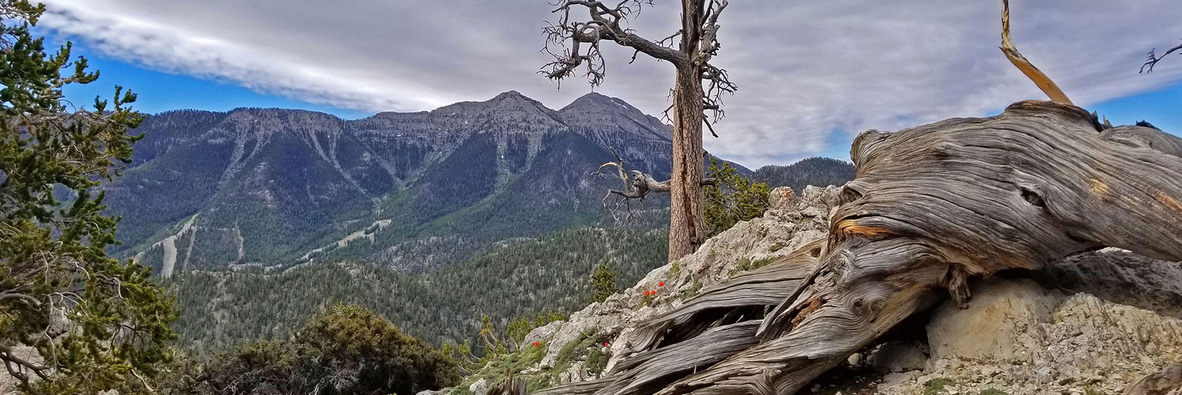 Topping the Mid Ridge with a View of Lee Peak (left) and Charleston Peak (right). | The Sisters South | Lee Canyon | Mt Charleston Wilderness | Spring Mountains, Nevada