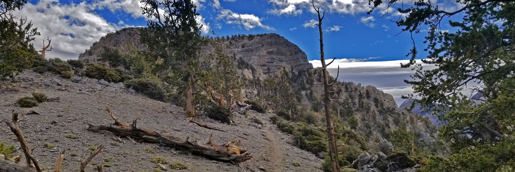 Reconnected with the Main Trail That Took the Western Ridge. | The Sisters South | Lee Canyon | Mt Charleston Wilderness | Spring Mountains, Nevada