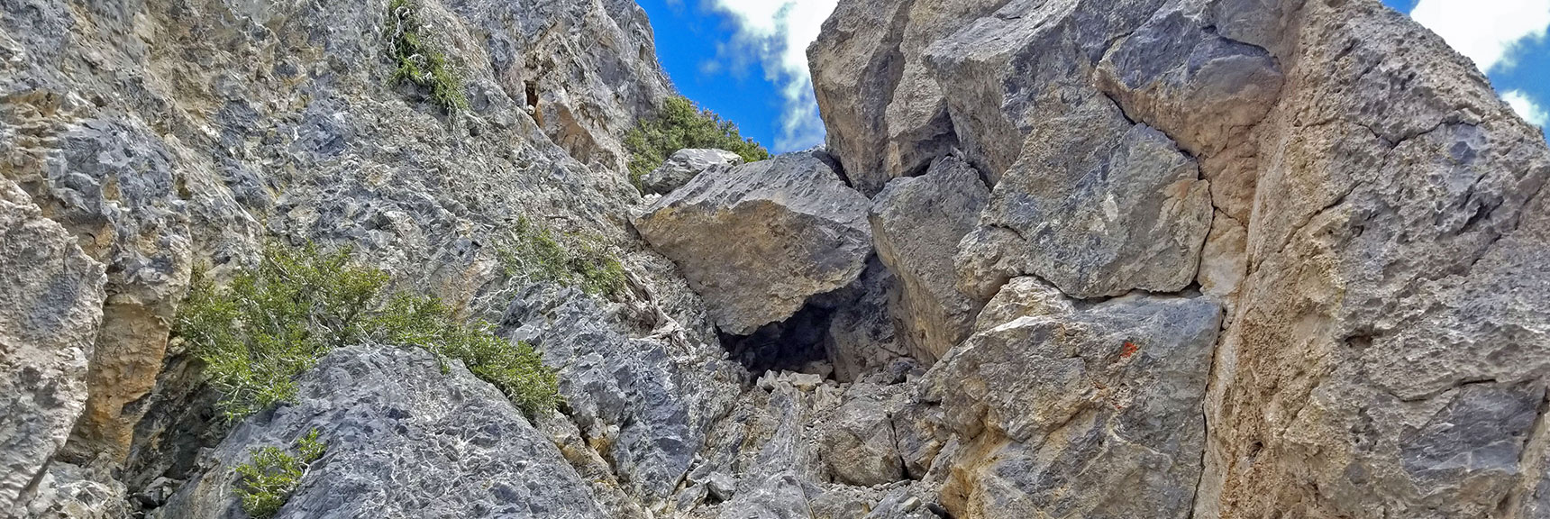 View Straight Up the Class 3 Final Summit Approach | The Sisters South | Lee Canyon | Mt Charleston Wilderness | Spring Mountains, Nevada