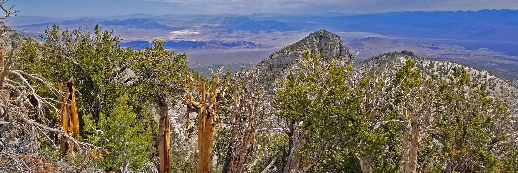 The Ridge and Saddle Between the Western Summit and The Sisters North. | The Sisters South | Lee Canyon | Mt Charleston Wilderness | Spring Mountains, Nevada