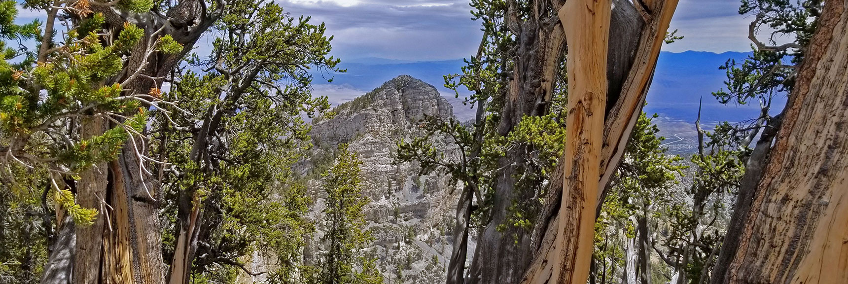 The Sisters North Viewed Through the Bristlecone Pines on The Sisters South Summit. | The Sisters South | Lee Canyon | Mt Charleston Wilderness | Spring Mountains, Nevada