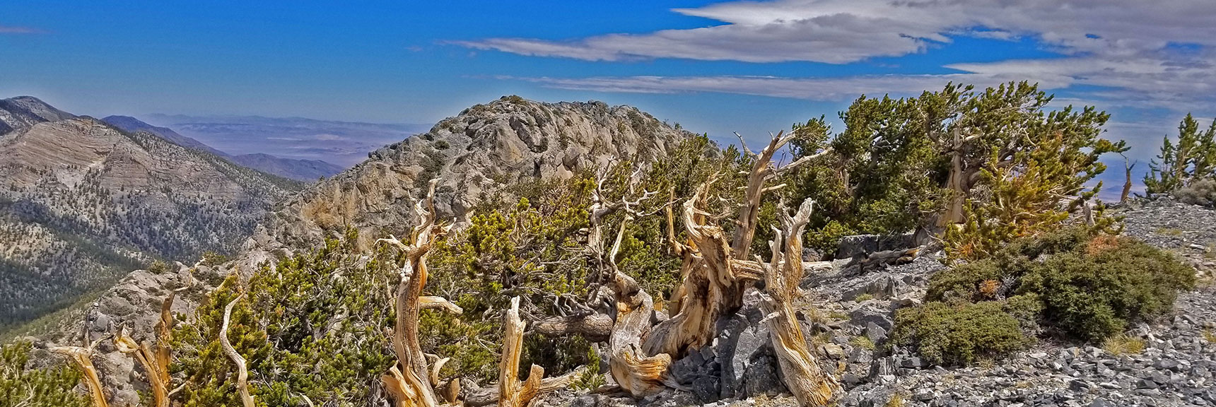 Western Summit of The Sisters South Viewed from the Eastern Summit. | The Sisters South | Lee Canyon | Mt Charleston Wilderness | Spring Mountains, Nevada