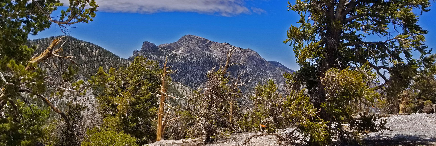 Continuing Down the Western Approach Ridge, Pointed at First Toward McFarland Peak. | The Sisters South | Lee Canyon | Mt Charleston Wilderness | Spring Mountains, Nevada