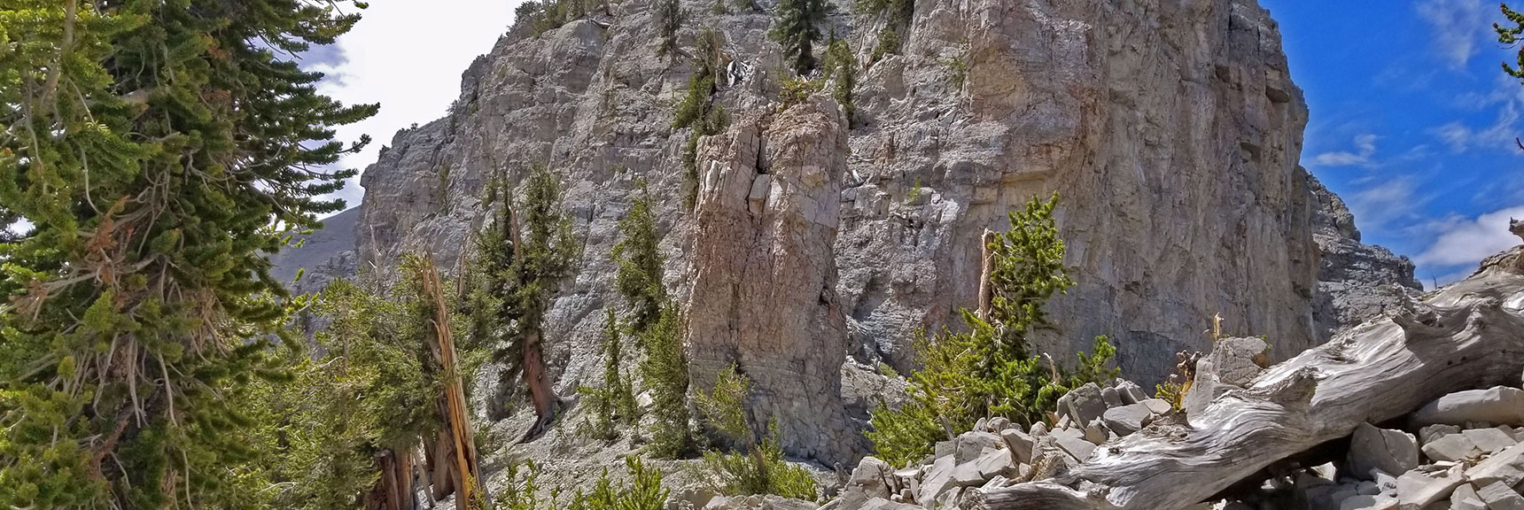 Entering the Cliff and Bristlecone Pine Area at the Base of Charleston Peak | Lee and Charleston Peaks via Lee Canyon Mid Ridge | Mt Charleston Wilderness | Spring Mountains, Nevada