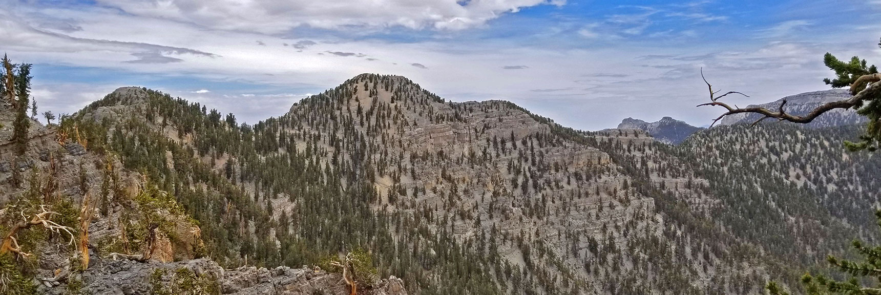 View Back Toward Lee Peak from the Cliffs at the Base of Charleston Peak| Lee and Charleston Peaks via Lee Canyon Mid Ridge | Mt Charleston Wilderness | Spring Mountains, Nevada