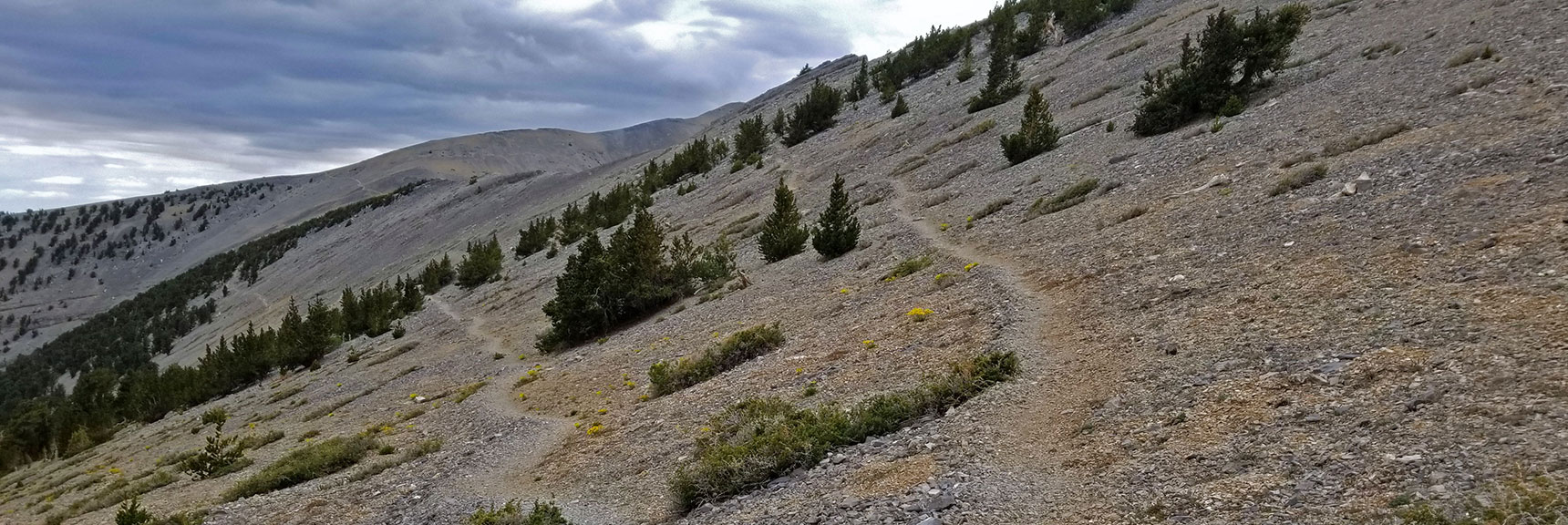 Looking Back from Point Where the 2 Trails Diverge Just Below the Saddle | Lee and Charleston Peaks via Lee Canyon Mid Ridge | Mt Charleston Wilderness | Spring Mountains, Nevada