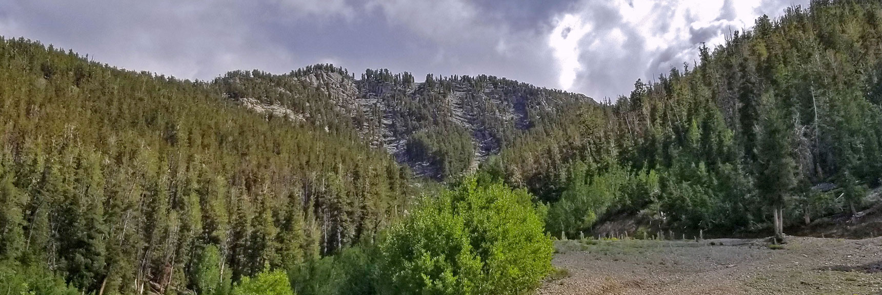 View Up the Ski Run to the Plateau at the Summit of the Lee/Kyle Canyon Upper Rim. | Lee Peak Summit via Lee Canyon Mid Ridge | Mt. Charleston Wilderness | Spring Mountains, Nevada