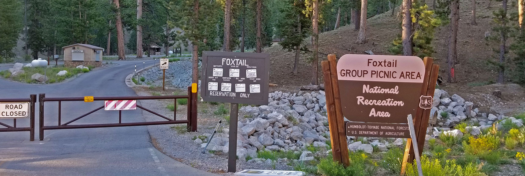 Entering Foxtail Picnic Area of Lee Canyon Rd. Adventure Begins Here. | Lee to Kyle Canyon | Foxtail Approach | Mt Charleston Wilderness | Spring Mountains, Nevada