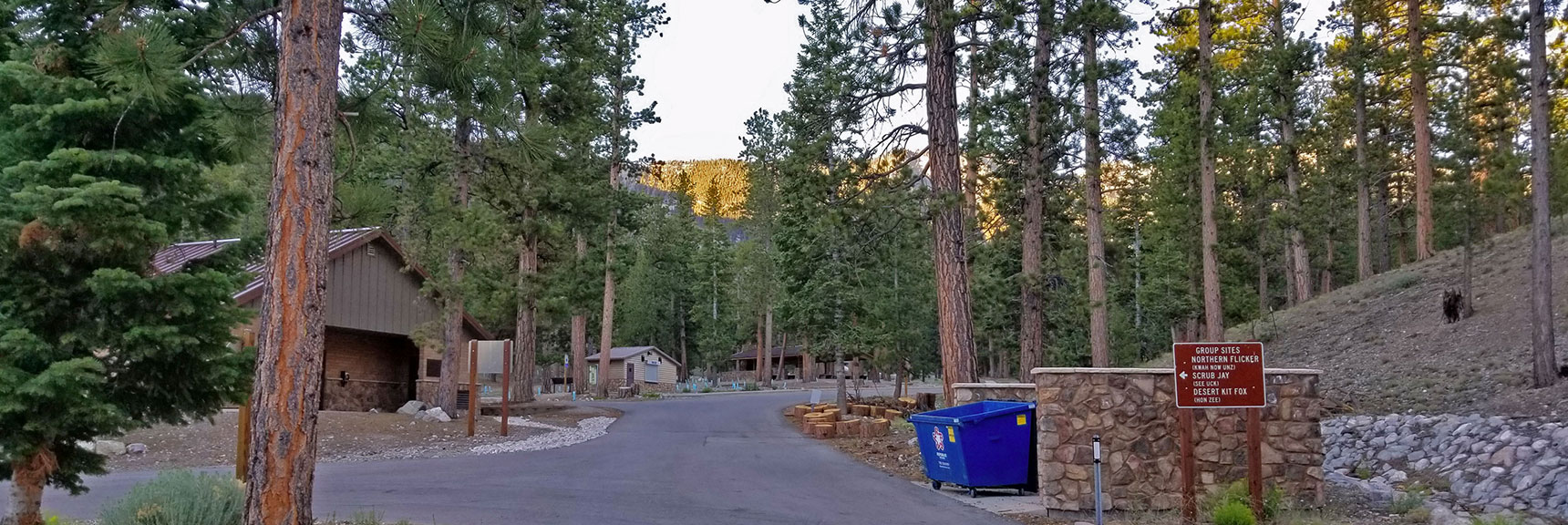 Passing Through Foxtail Picnic Area. Ghost Town at 7am, Even on Saturday. | Lee to Kyle Canyon | Foxtail Approach | Mt Charleston Wilderness | Spring Mountains, Nevada