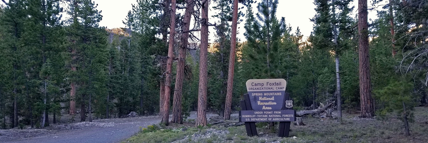 New Designation for Former Girl Scouts Camp | Lee to Kyle Canyon | Foxtail Approach | Mt Charleston Wilderness | Spring Mountains, Nevada