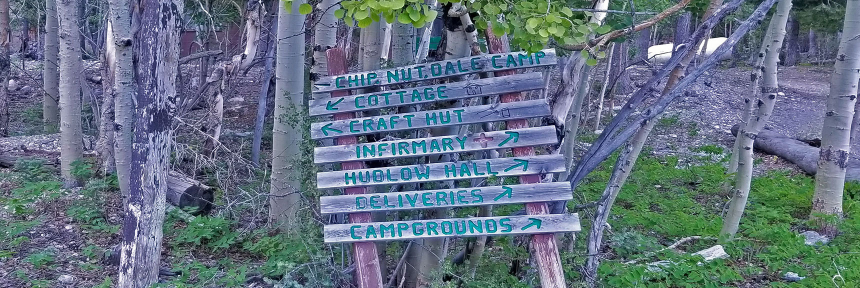 Directional Signs to Various Points at Camp Foxtail Girl Scouts Camp | Lee to Kyle Canyon | Foxtail Approach | Mt Charleston Wilderness | Spring Mountains, Nevada
