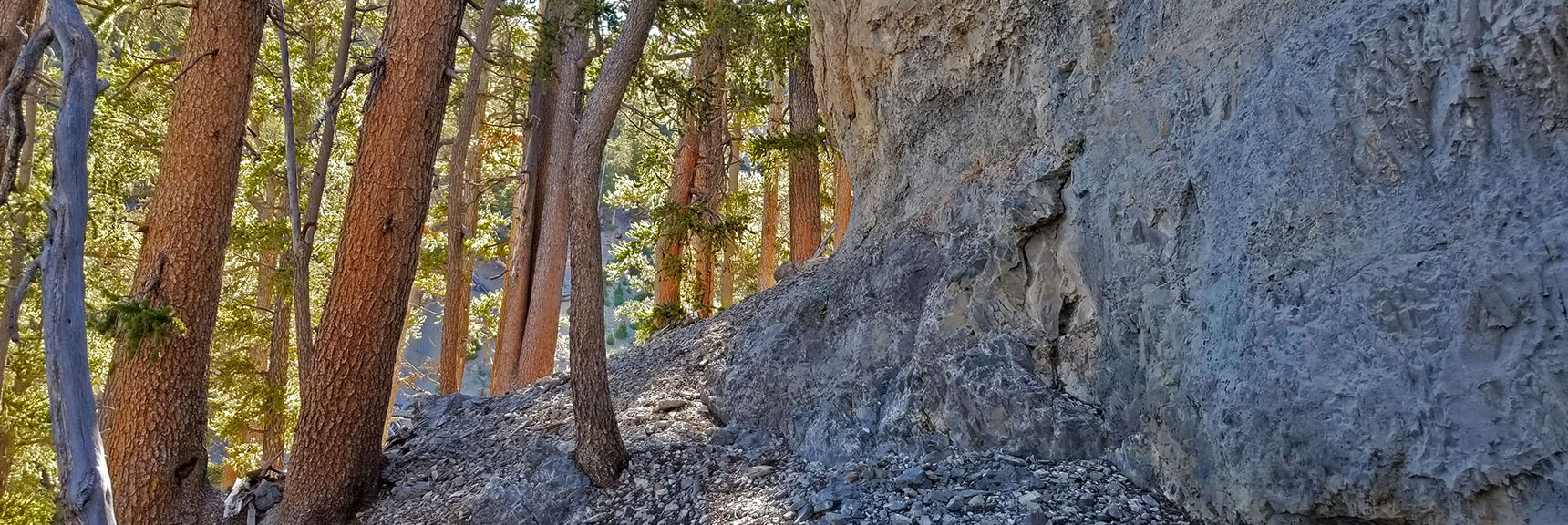 Skirting to Left Around First Cliff Barrier Above Foxtail Canyon Wash | Lee to Kyle Canyon | Foxtail Approach | Mt Charleston Wilderness | Spring Mountains, Nevada