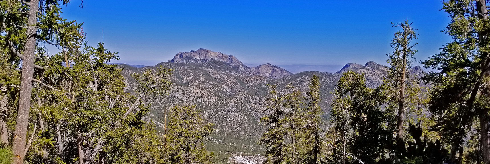 View Down Upper Foxtail Canyon to McFarland Peak, Reference Point for Return Trip | Lee to Kyle Canyon | Foxtail Approach | Mt Charleston Wilderness | Spring Mountains, Nevada
