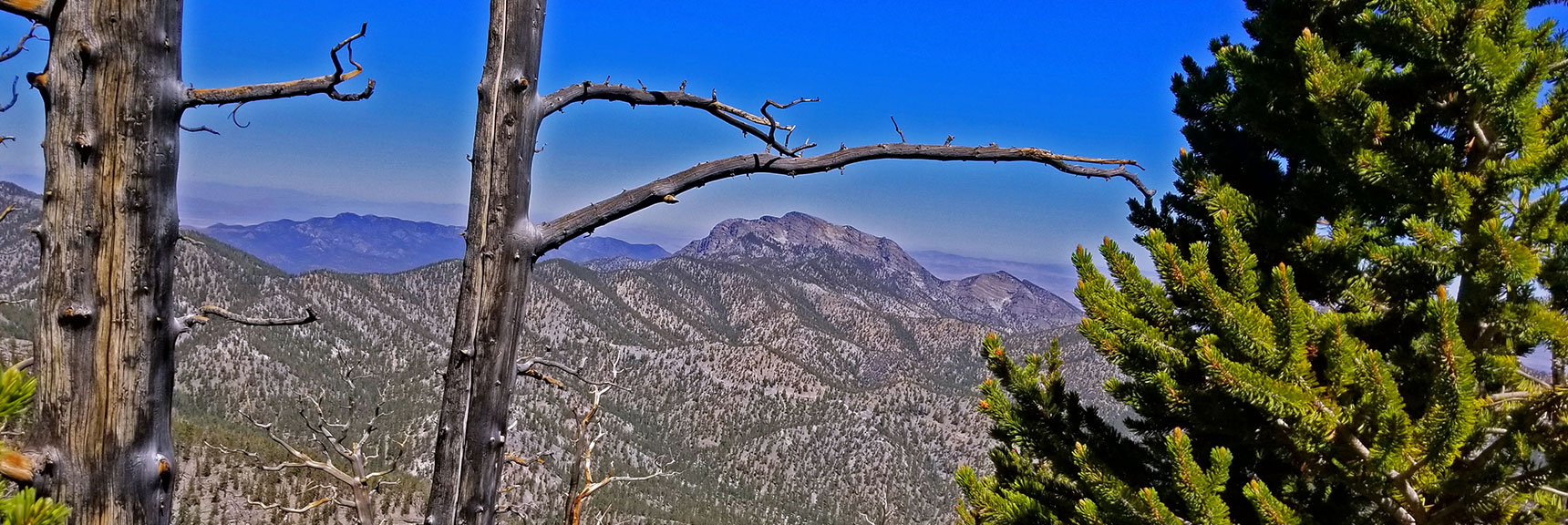 Higher View of McFarland Peak While Closing in on High Ridge Summit of Lee/Kyle Canyons | Lee to Kyle Canyon | Foxtail Approach | Mt Charleston Wilderness | Spring Mountains, Nevada