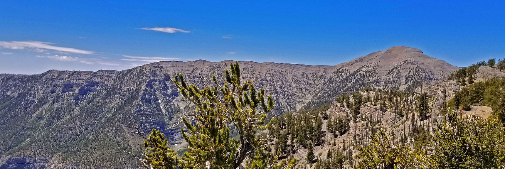 Charleston Peak (right) and Kyle Canyon South Ridge | Lee to Kyle Canyon | Foxtail Approach | Mt Charleston Wilderness | Spring Mountains, Nevada