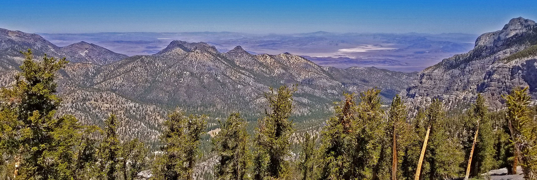| Lee to Kyle Canyon | Foxtail Approach | Mt Charleston Wilderness | Spring Mountains, Nevada