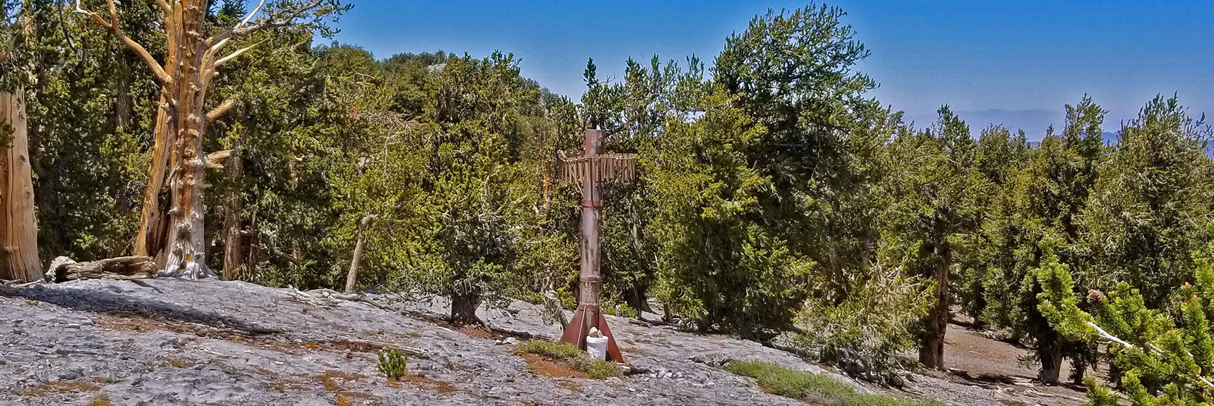 Weather Station on Lee/Kyle Canyon High Ridgeline Marks Point to Descend Left to North Loop Trail | Lee to Kyle Canyon | Foxtail Approach | Mt Charleston Wilderness | Spring Mountains, Nevada