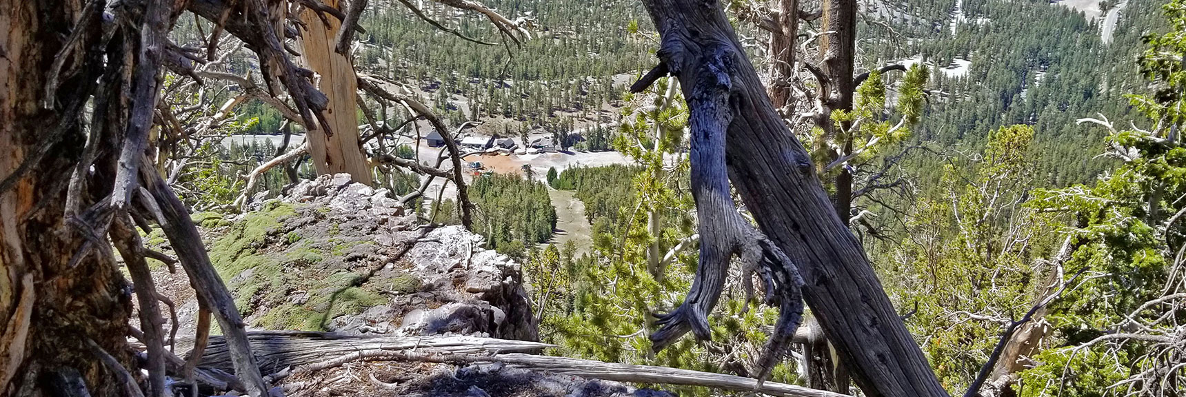 View Down To Lee Canyon Lodge and NE Ski Run | Lee to Kyle Canyon | Foxtail Approach | Mt Charleston Wilderness | Spring Mountains, Nevada
