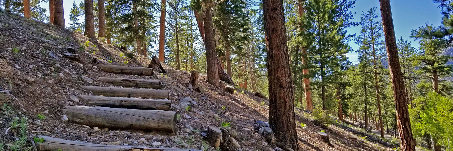 Stairway Down Ridge into Foxtail Girl Scout Camp and Lower Picnic Area | Lee to Kyle Canyon | Foxtail Approach | Mt Charleston Wilderness | Spring Mountains, Nevada