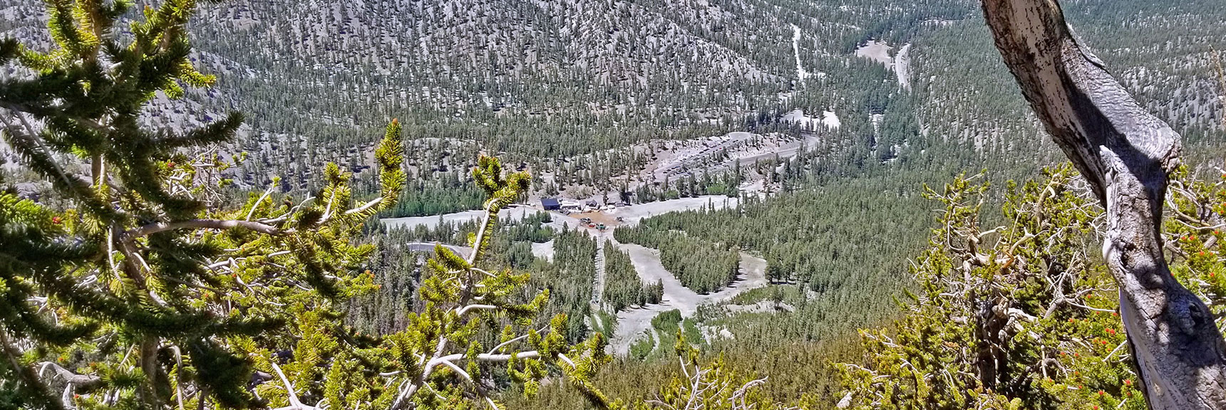 View Down to Lee Canyon Ski Area and Bristlecone Pine Trailhead and Meadow Almost Directly Below. | Lee to Kyle Canyon | Gradual Mid Ridge Approach | Mt. Charleston Wilderness | Spring Mountains, Nevada